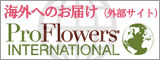 �C�O�ւ̂��Ԃ̃M�t�g���z�̂������͂�����