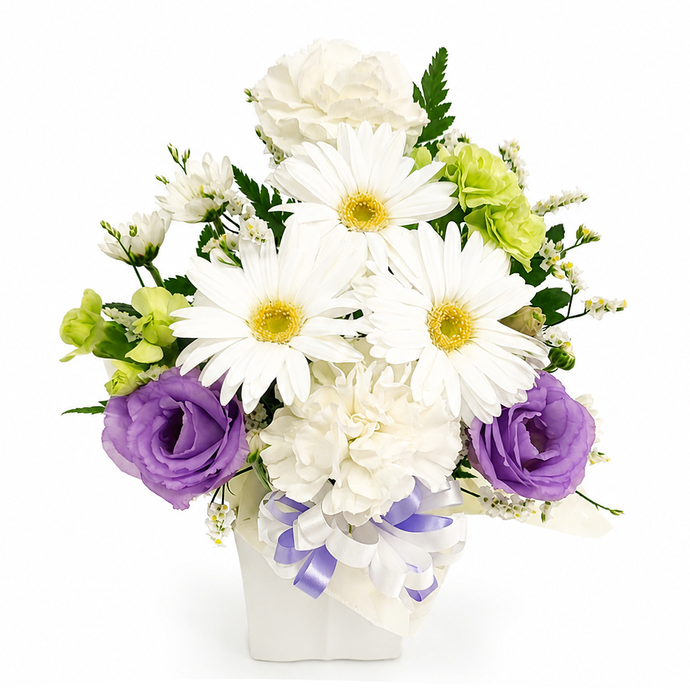 �������A�����W�����g�EPetit�E�g���C�A���O��