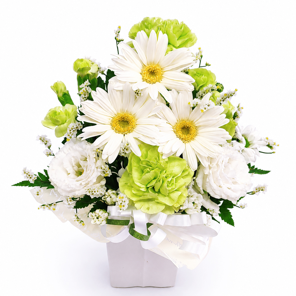 �������A�����W�����g�EPetit�E�g���C�A���O��