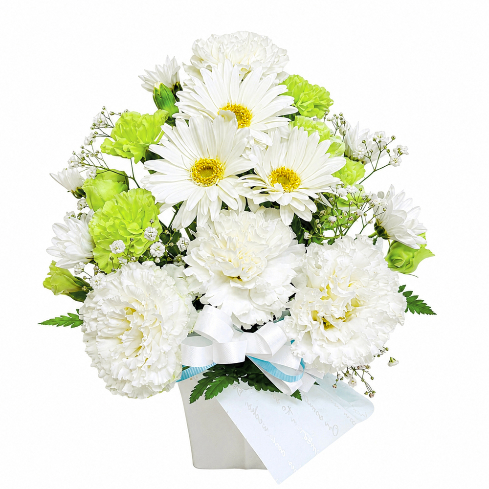 �������A�����W�����g�EPetit�E�g���C�A���O��