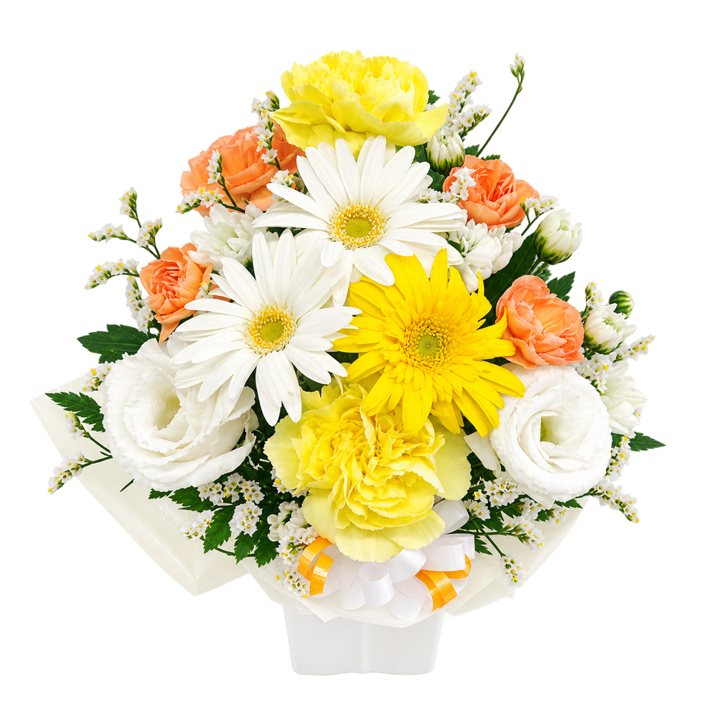 �������A�����W�����g�EPetit�E�g���C�A���O��