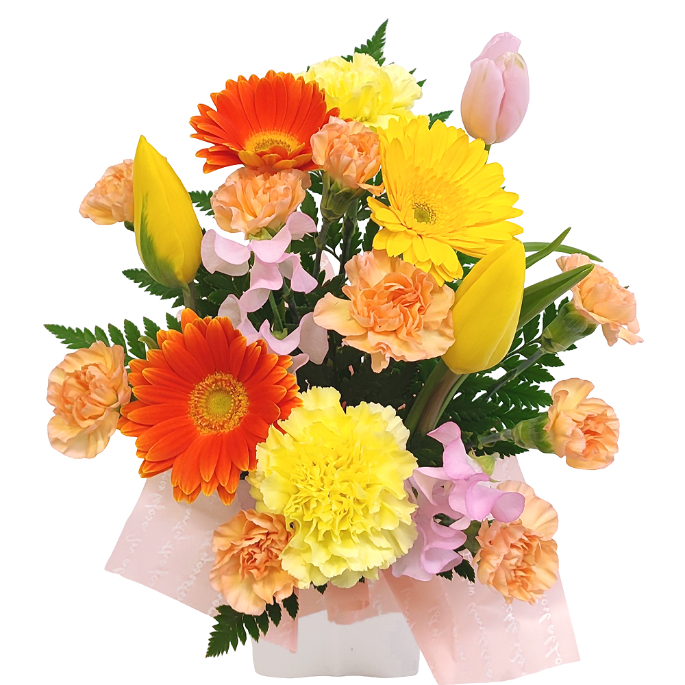 ���C���A�����W�����g�ECutie