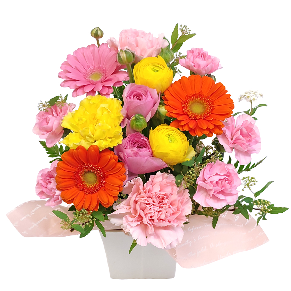 ���C���A�����W�����g�ECutie