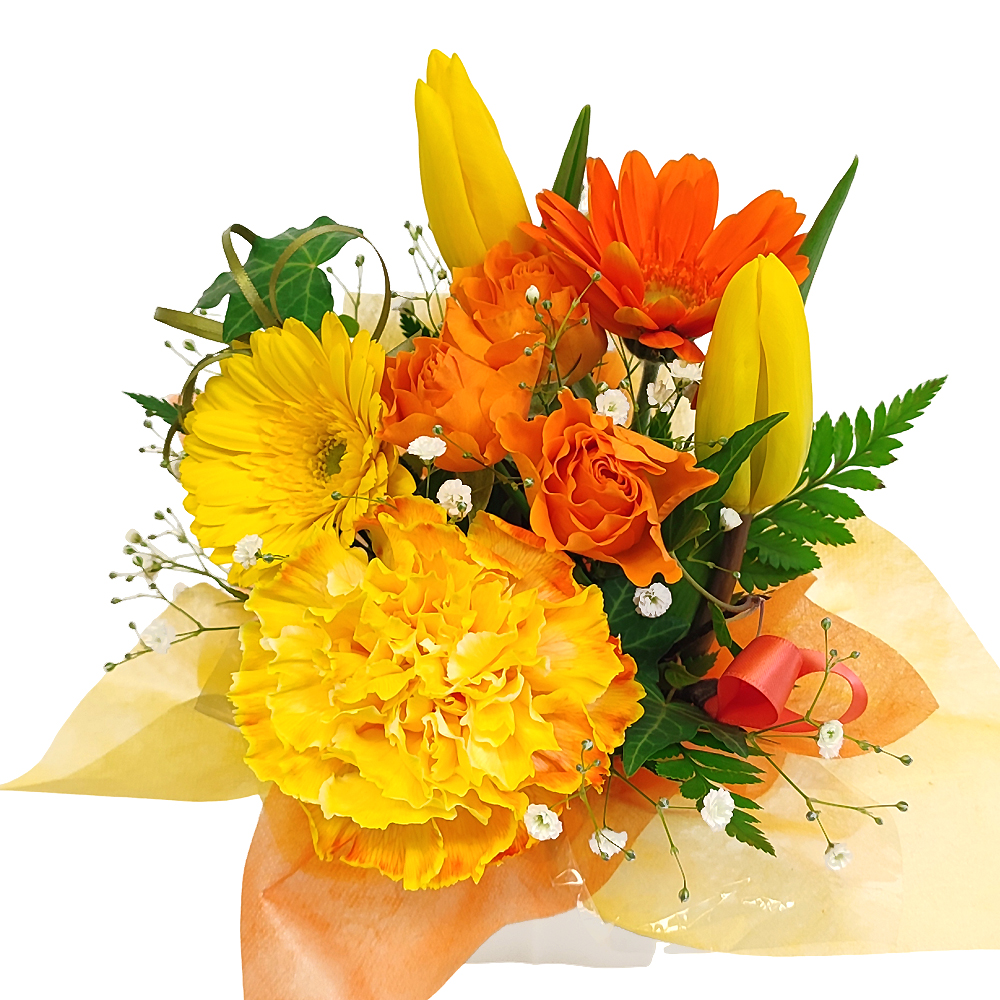 2���̃A�����WB