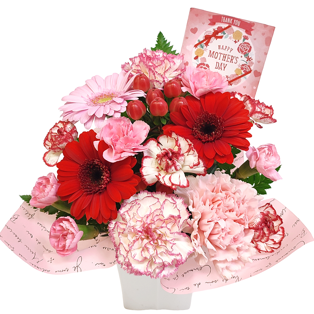 ���C���A�����W�����g�ELovely�E�g���C�A���O��