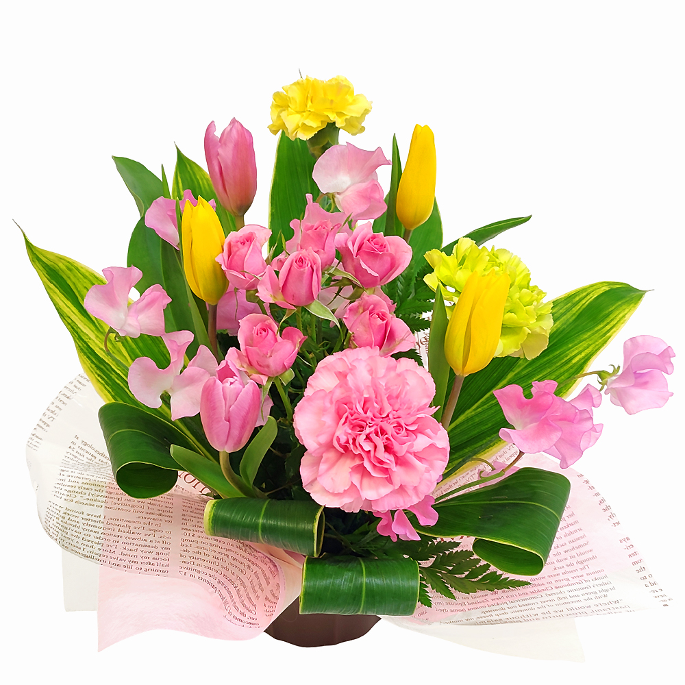 2���̃A�����W�E�O�����f