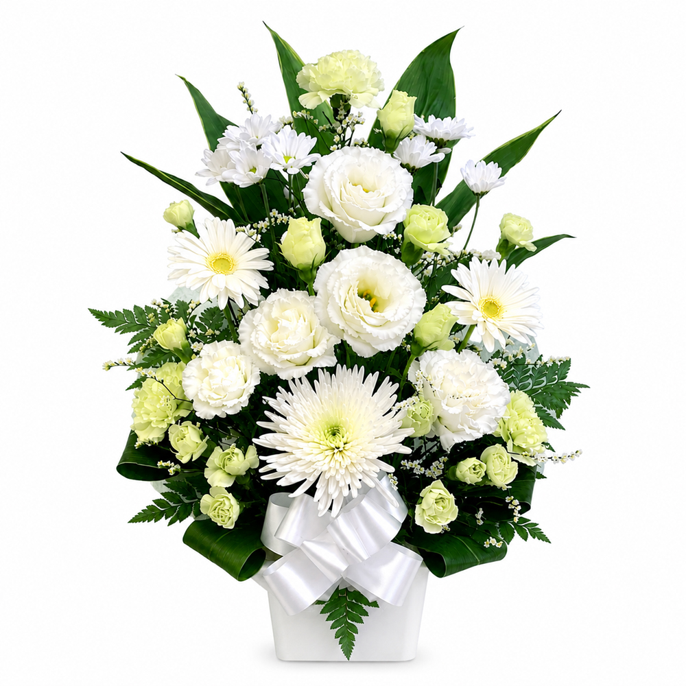�������A�����W�E�f���b�N�X �g�[��