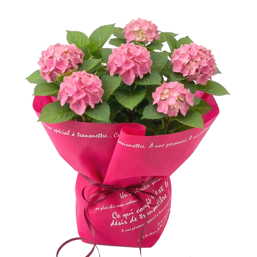 �A�W�T�C ���_4����